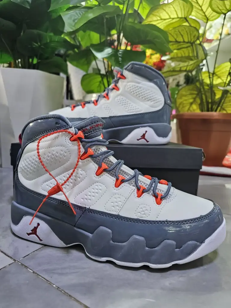 Air Jordan 9